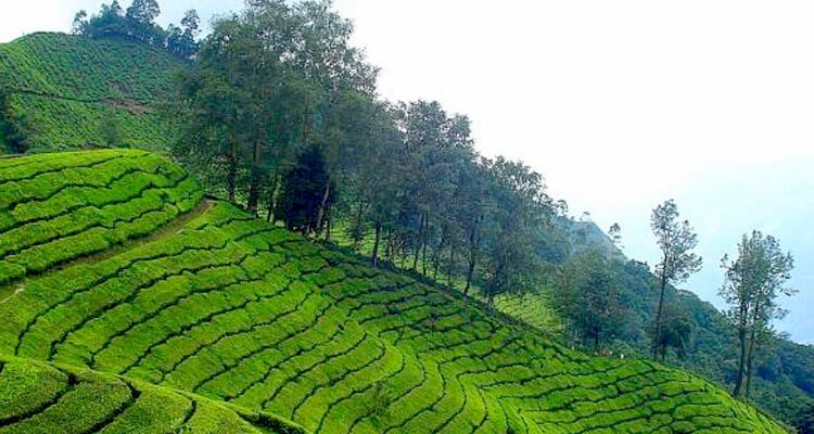 Chithirapuram View Point